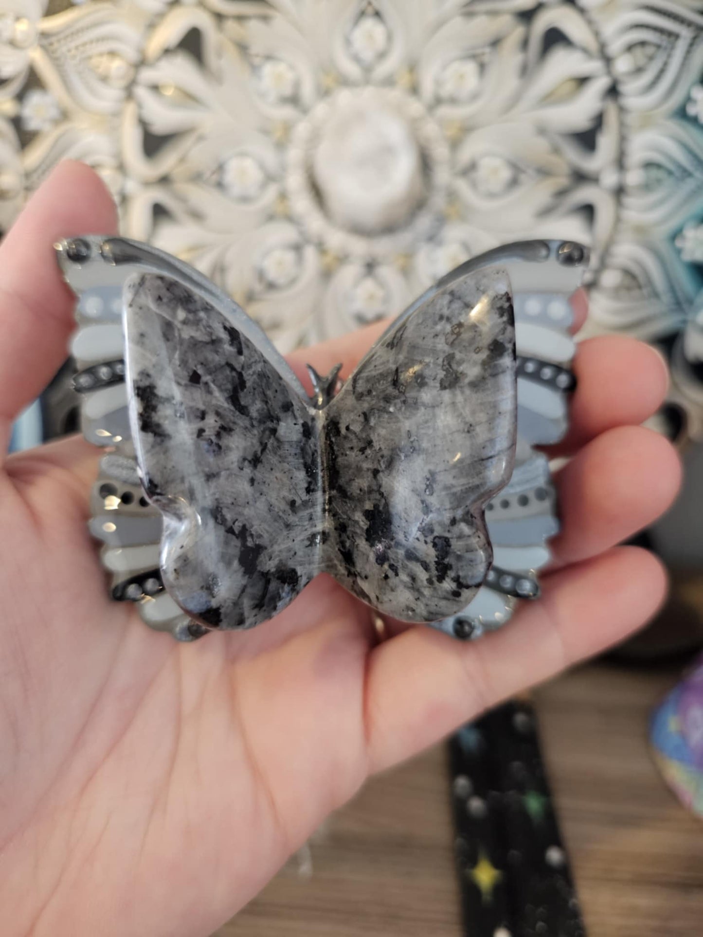 Papillon avec cristaux de Larvikite