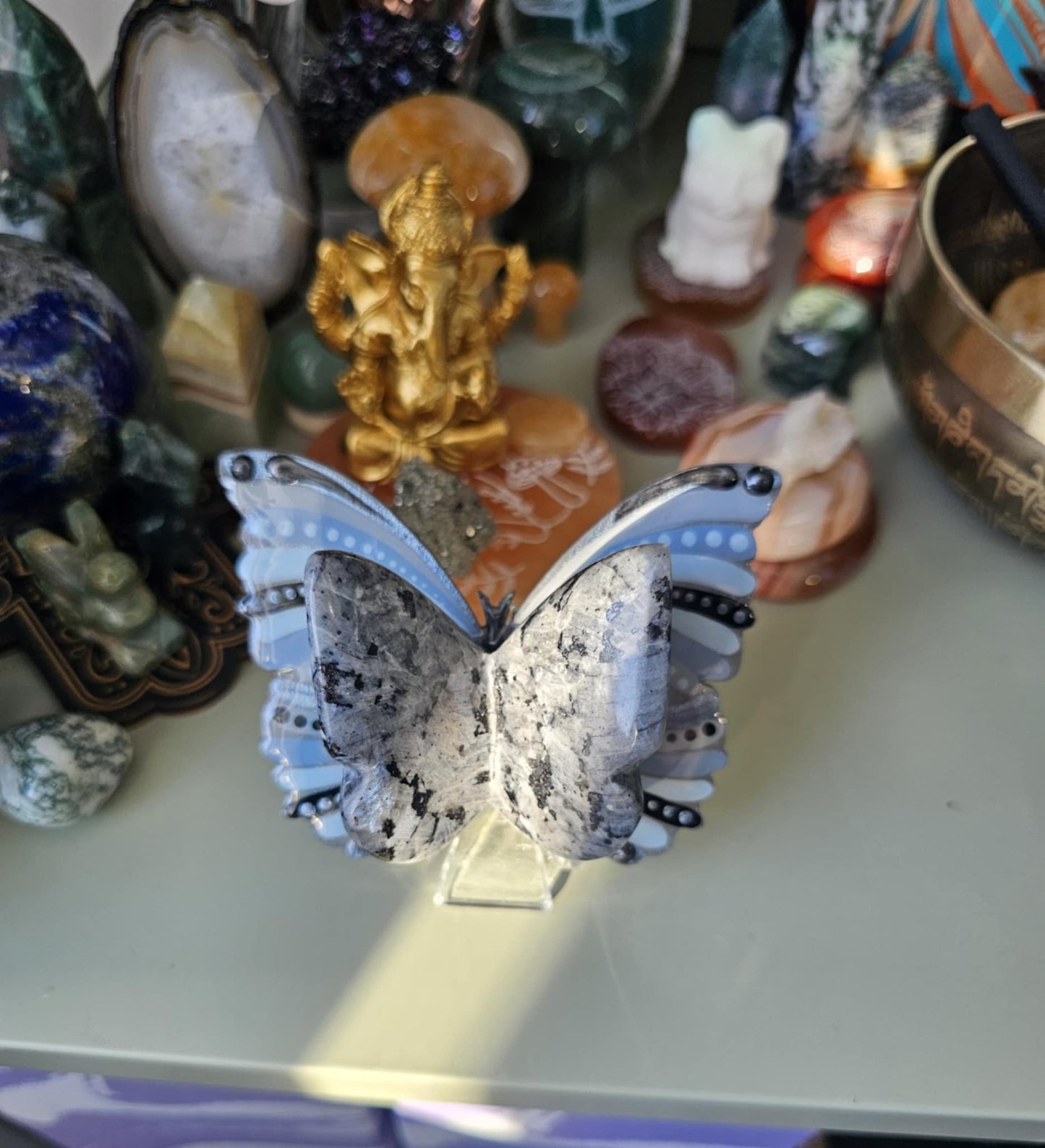 Papillon avec cristaux de Larvikite