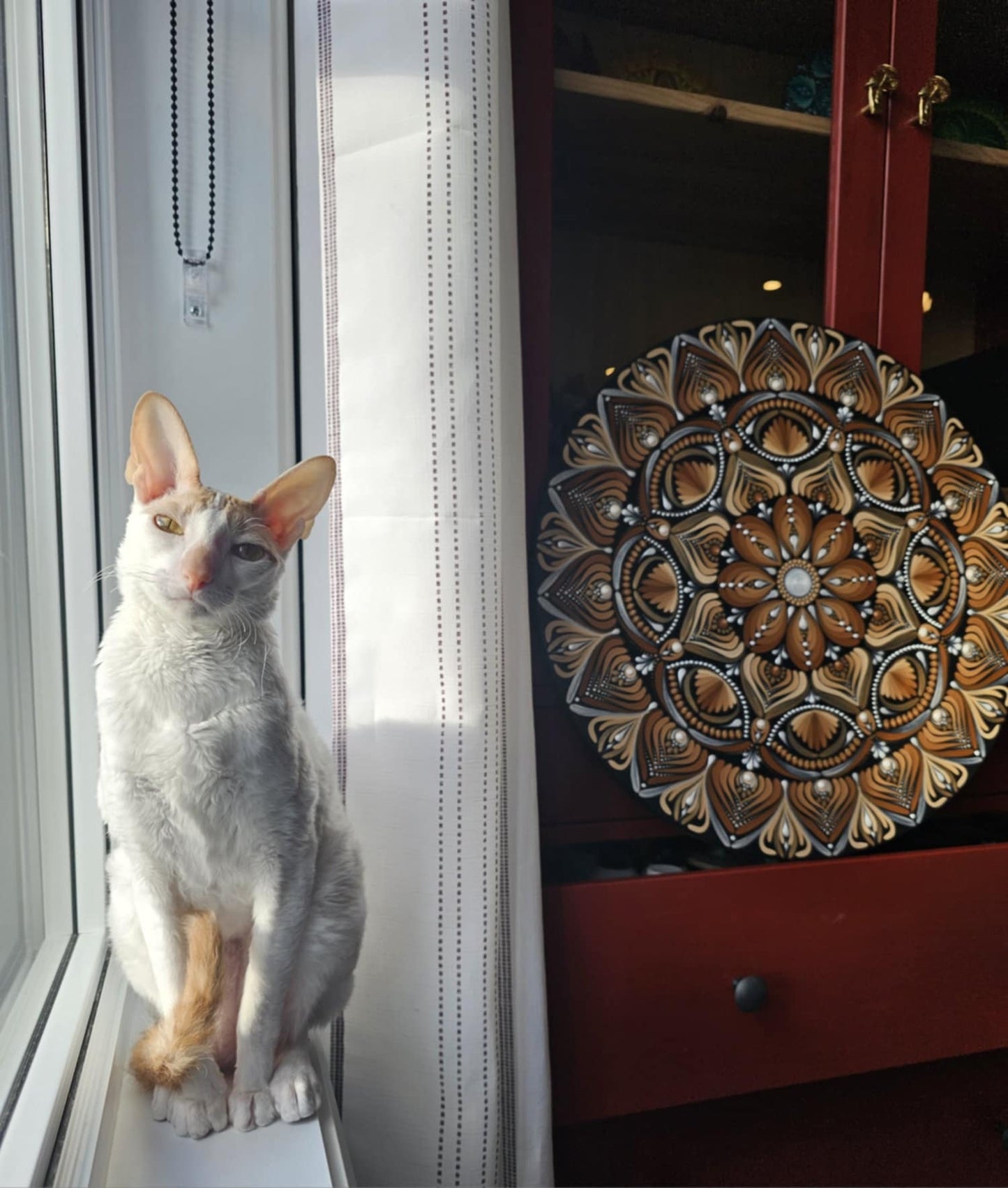 Phobos