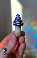 Champignon 🪻