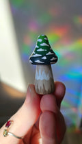 Champignon 👽