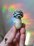 Champignon texturé 🩶🖤