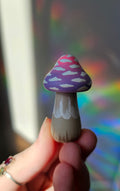 Champignon 🌷💜