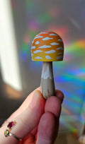 Champignon 🌞🧡